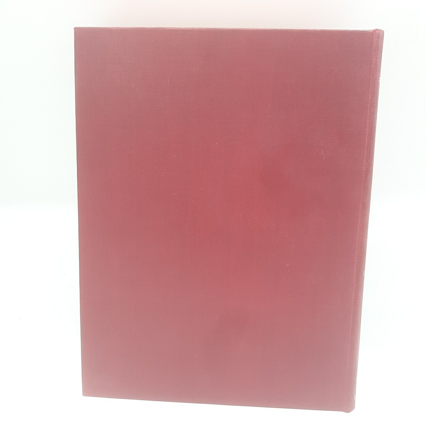Bild 3 von 8