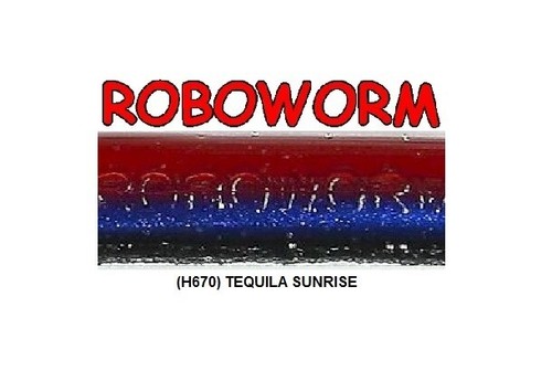 Roboworm ( ST ) 4.5 Inch Straight Tail Worms 10pk Any 43 Colors FREE SHIPPING - Picture 55 of 63
