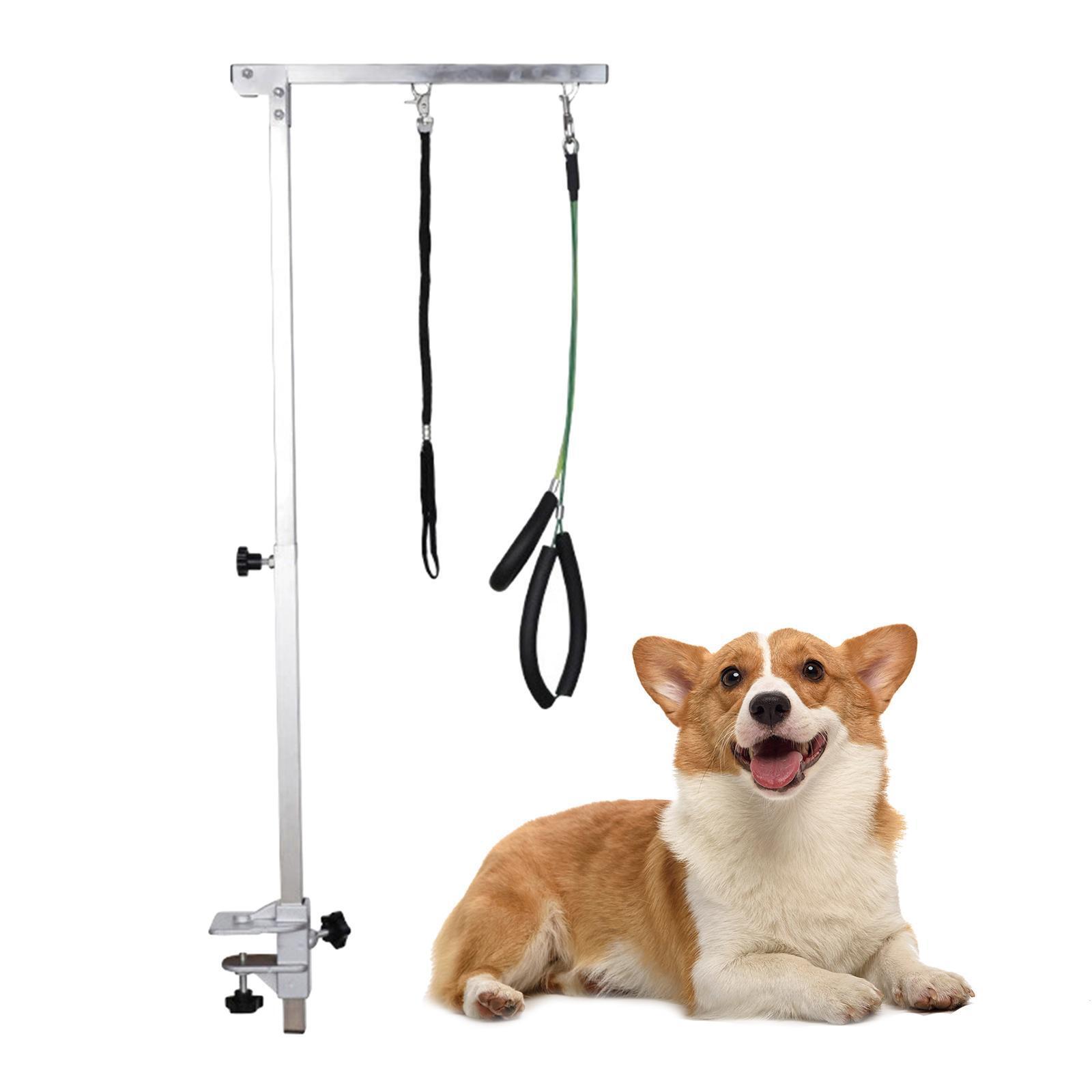 Pet Dog Grooming Arm Pet Grooming Arm Tool with Clamps Loop Noose