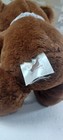 Bild 6 von 7