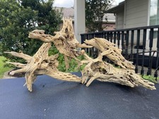 CHOLLA WOOD AQUARIUMS FISH RIPTILES DECOR PET SUPPLIES ART GARDEN AQUASCAPING