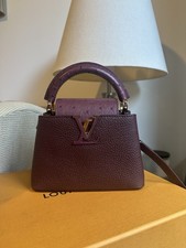 Louis Vuitton Mini Capucines Bordeaux Ostrich And Leather Bag 2024