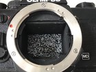 Foto 12 di 22
