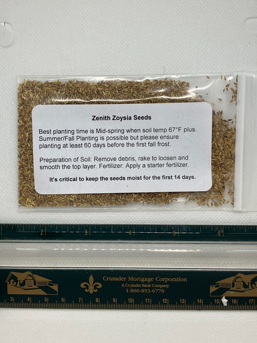 1 Pack) Zenith Zoysia Grass Seed – More Than 5,000 Seeds for Lush