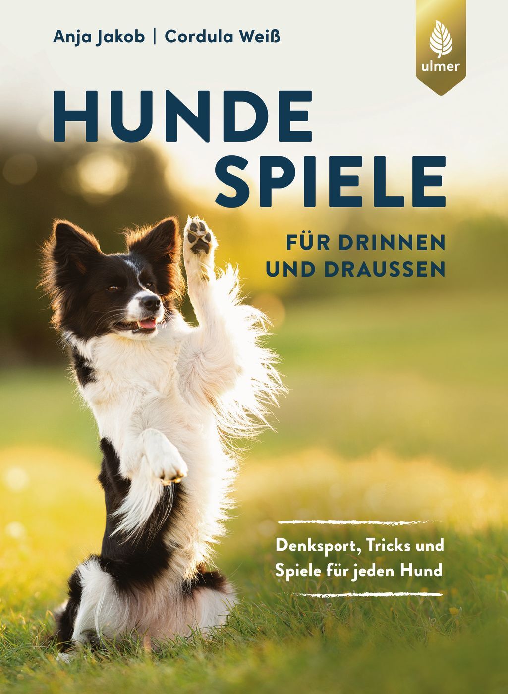 Thumbnail - Anja Jakob; Cordula Weiß / Hundespiele Für Drinnen Und Draußen