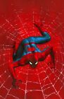 Amazing Spider-Man 17 Gabriele Dellotto Megacon Variant Ltd 500 Copies Coa Nm🔥