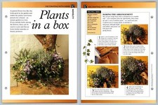 Plants In A Box - Decorating - Secret World Of Herbs Fact File Card