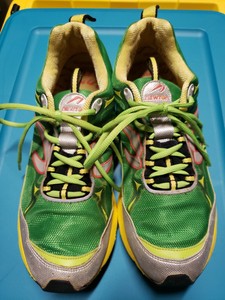 newton running terra momentum