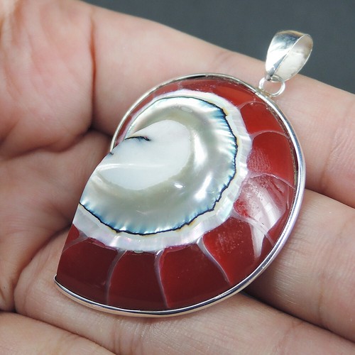 925 Sterling Silver Medium Size Red Color Nautilus Shell Pendant, NSP-554 - Picture 2 of 8