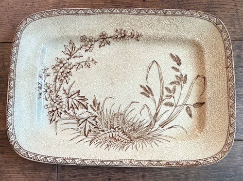 ANTIQUE T.G & F.B Hawthorn Ironstone Platter— England 1876-1890 Transferware