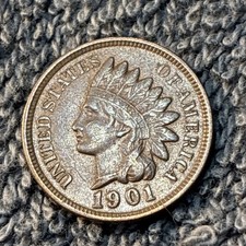  on The Hot Collector