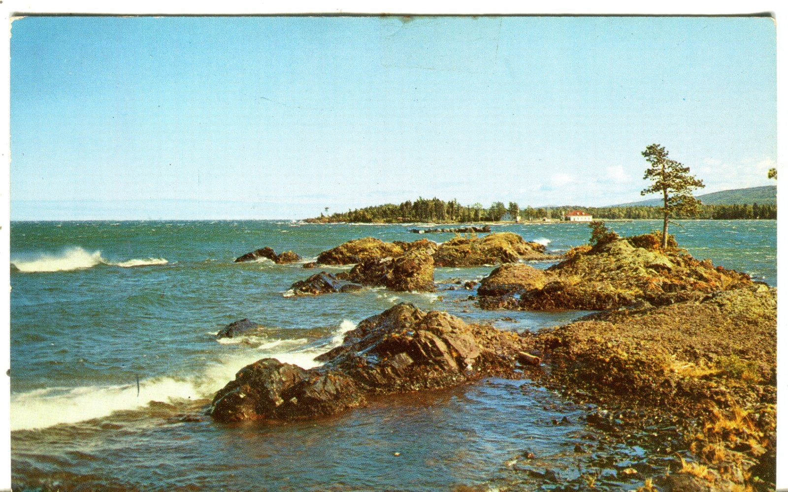 Picture 4 of 4