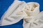 Foto 126 di 254