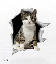 LARGE-SIZED CAR DECALS - CAT - 5 CHOICES