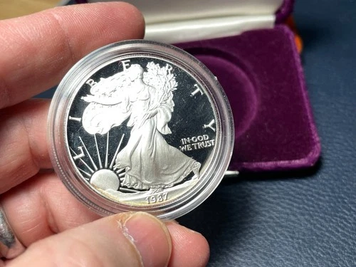 1987 proof american silver eagle.  case but no box and papers.