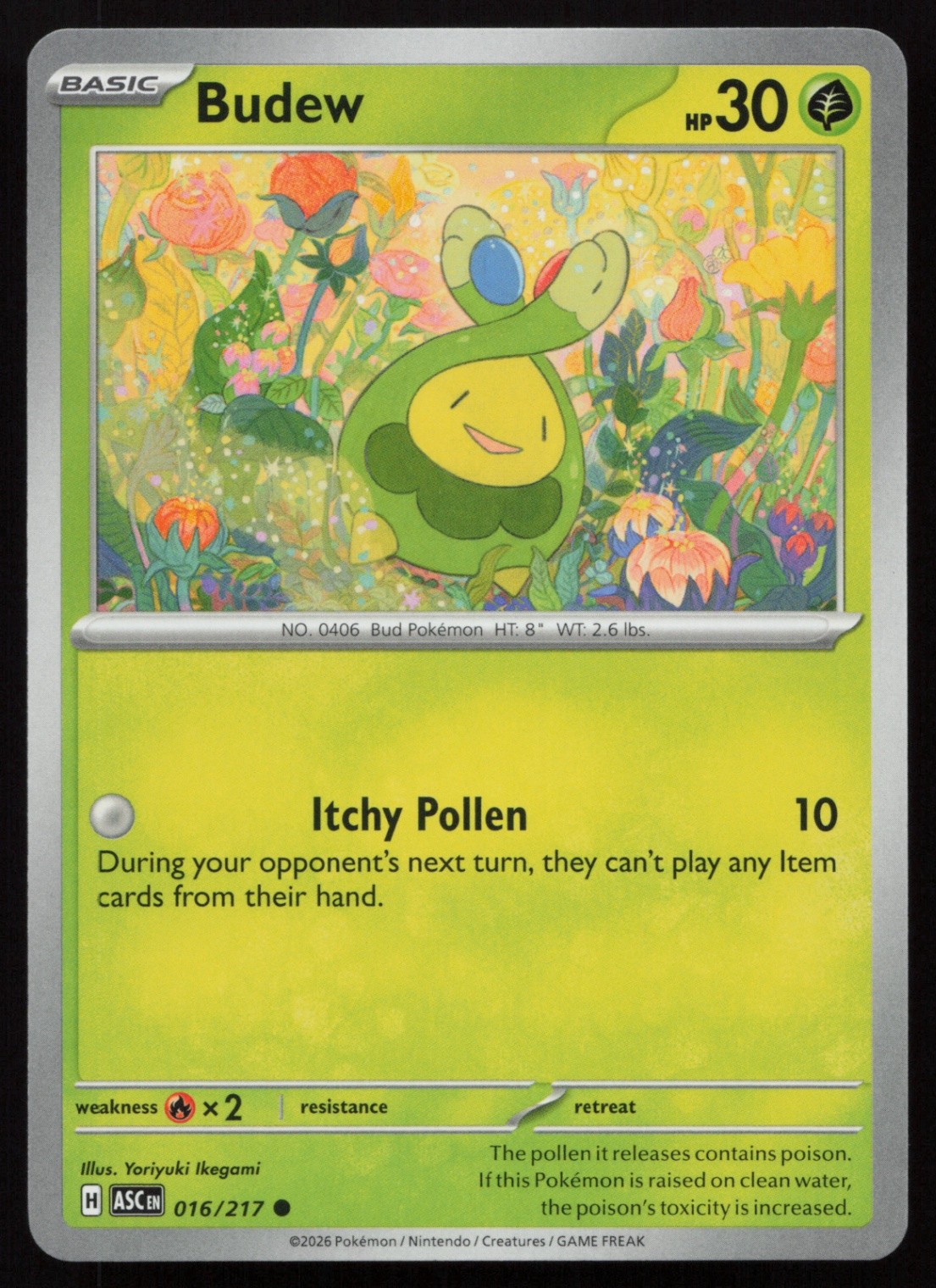 Budew Normal Common ME: Ascended Heroes 016/217 NM