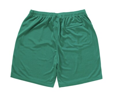In-Hand Supreme Champion Mesh Shorts Green Size: L | eBay