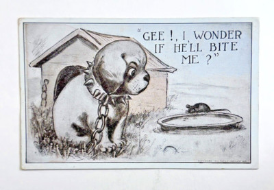 Vintage Postcard ''Gee! I Wonder if He'll Bite Me?'' Curious Puppy & Mouse Humor