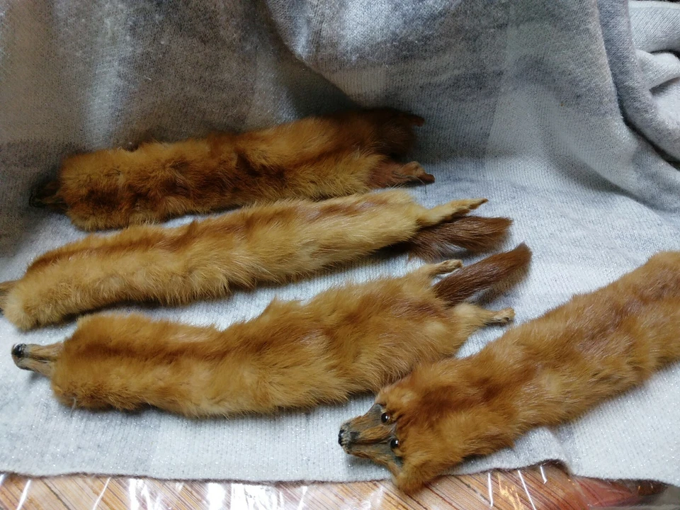 Juego de 4 BUFANDAS CHAL CUELLO PIEL MARTA VISÓN GENUINO VINTAGE Foto 4 de 4