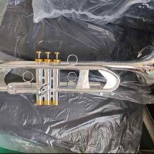 LT190S-77 Bb Small Trumpet Silver Golden Key Professional trumpet with case