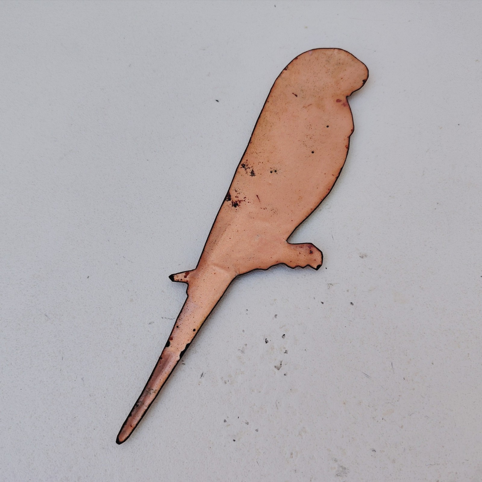 Oiseau perruche ondulée des bois, Emaux Limoges