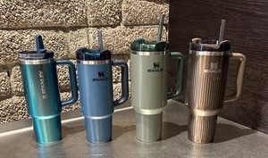 Stanley Tumbler Mint | eBay
