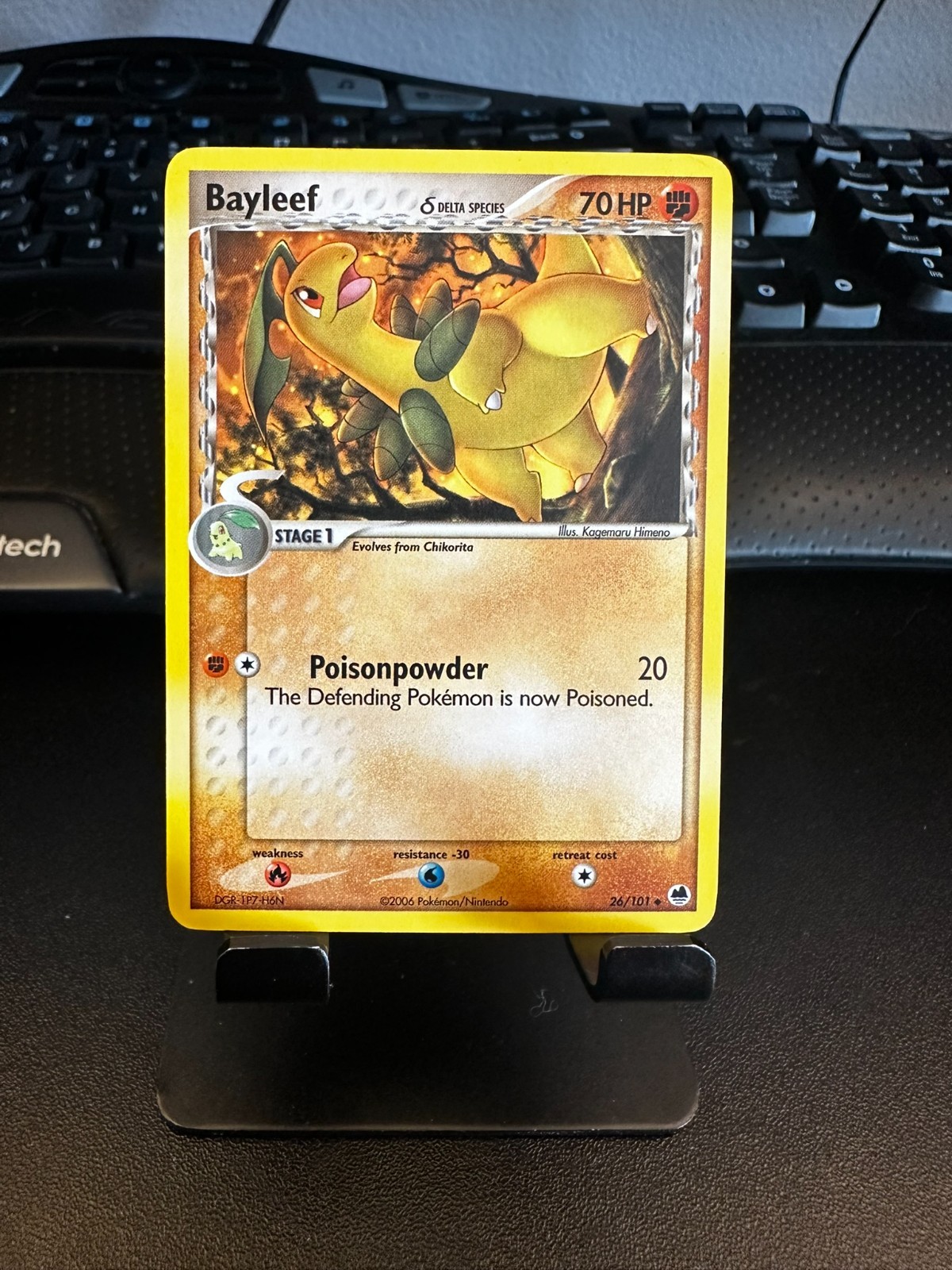 Pokemon EX Dragon Frontiers 26/101 Bayleef Card