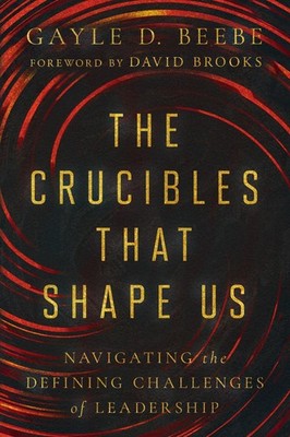 The Crucibles That Shape Us: Navigating the Defining Challenges of Leadershi...
