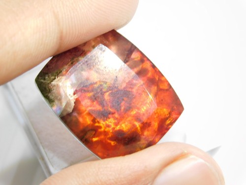 28CT Rare Ammolite Opal-Like Organic Doublet Rare loose Gemstone - Picture 4 of 5