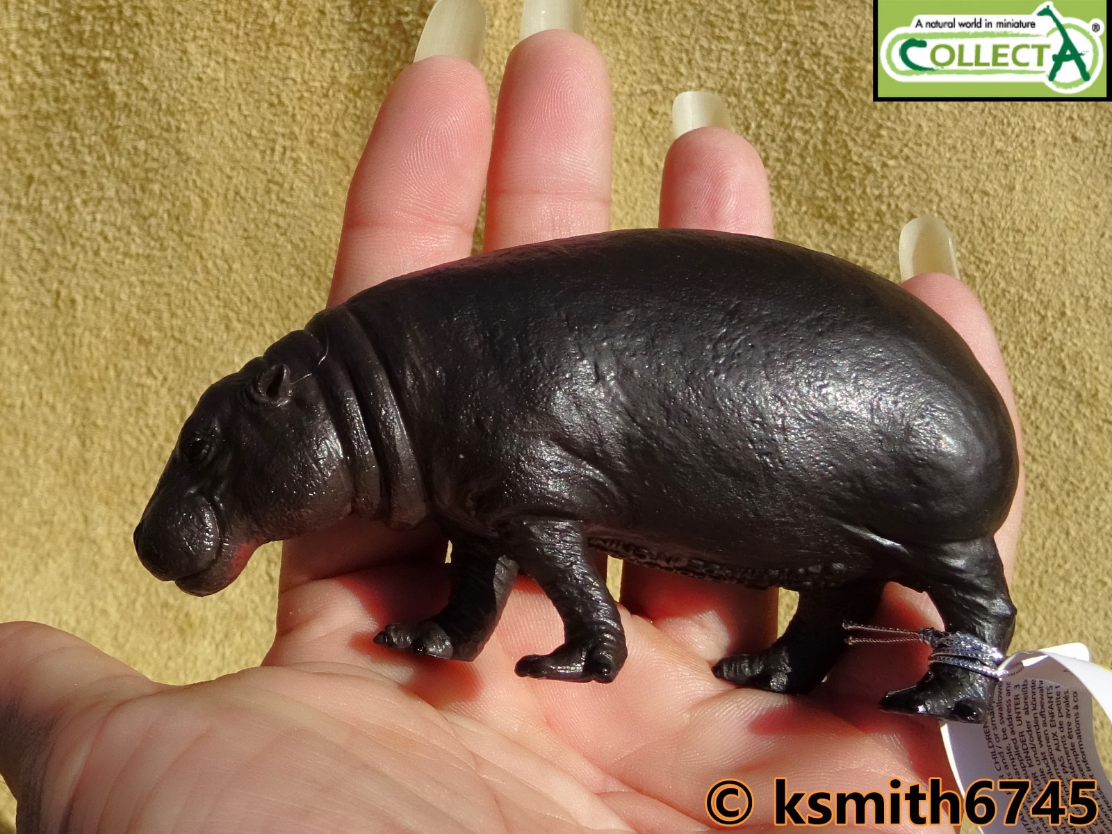 CollectA PYGMY HIPPO solid plastic toy wild zoo animal hippopotamus