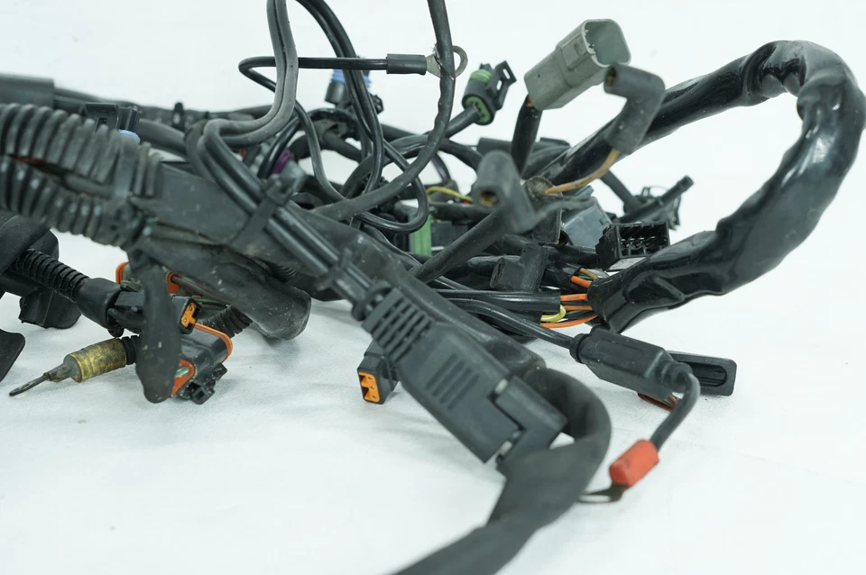 Arnés de cableado principal EFI 04 Harley Softail FLSTC Heritage OEM 70216-04A Foto 3 de 4