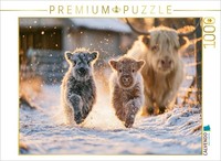 Calvendo Puzzle Winter Joy On Four Hooves | 1000 Pieces, Finished Size 25.2 × 18
