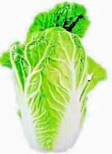 CHINESE CABBAGE 100+ SEEDS SPRING MICROGREENS GARDEN VEGETABLE SALADS HEIRLOOM