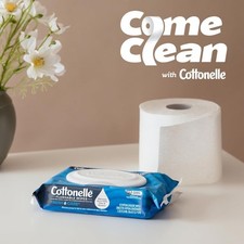 Cottonelle Fresh Feel Flushable Wet Wipes, Adult Wet Wipes, 8 Flip-Top Packs, 42