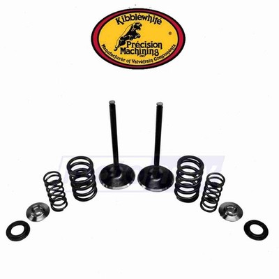 Kibblewhite Intake Only Stainless Conversion Valve/Spring Kit for 2002-2008 bq