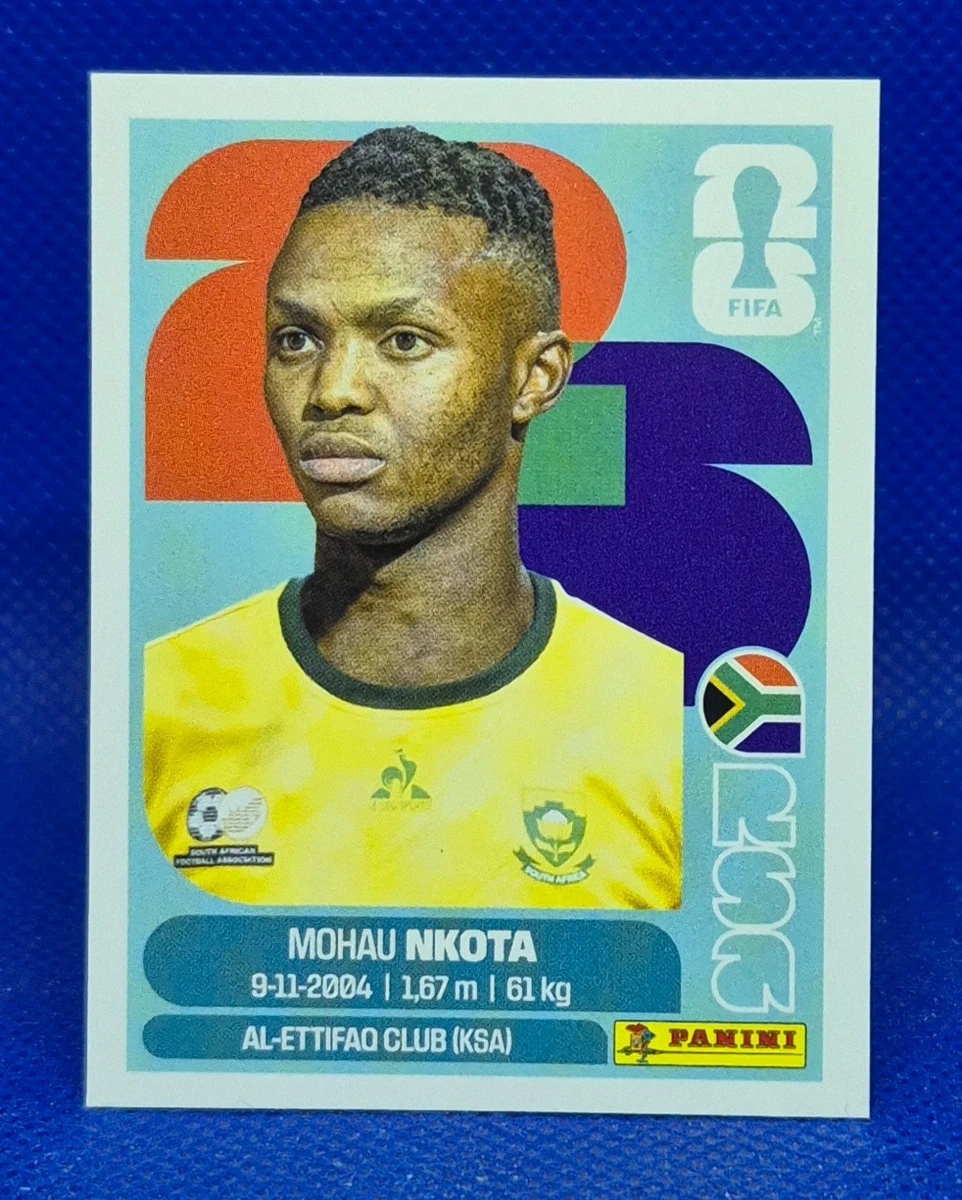 Panini Soccer Prizm W杯 20枚限定 ルカク カード FIFA World Cup Soccer South Africa Sports Trading Cards