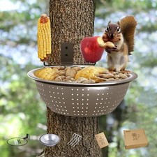 Squirrel Feeder Bowl Tree Mounted Drainage Holes Like a Colander Nice for Outsid