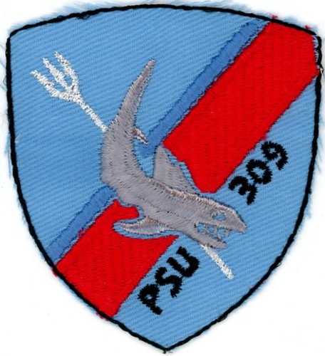 US Coast Guard Patch:  Port Security Unit 309