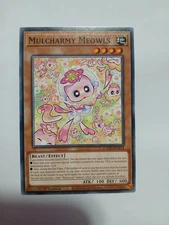 Yugioh Mulcharmy Meowls Common L5DD-ENA14 1st Ed Near Mint