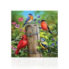 Briarwood Lane Spring Fence Post Birds Medium LED Canvas Art 16x16