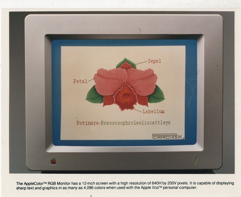ITHistory (1980s) APPLE  PHOTO:  "AppleColor RGB Monitor (Caption) Q OF