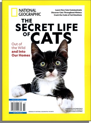 The Secret Life of Cats (2025) - New National Geographic Book!