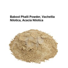 Babool Phalli Powder Vachellia Nilotica Acacia Nilotica Herb 500gm 17.63 OZ 
