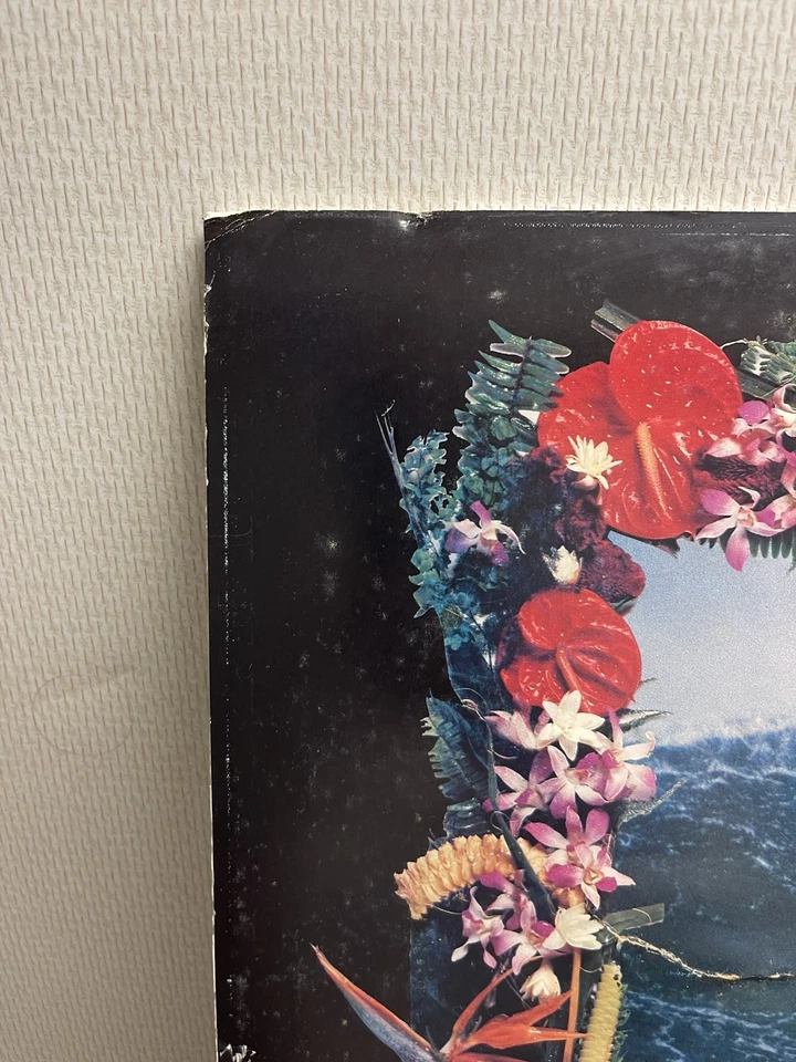 PÓSTER DE COLECCIÓN EDDIE AIKAU SURF QUIKSILVER 1990-91 WAIMEA BAY ORIGINAL RARO Foto 3 de 4