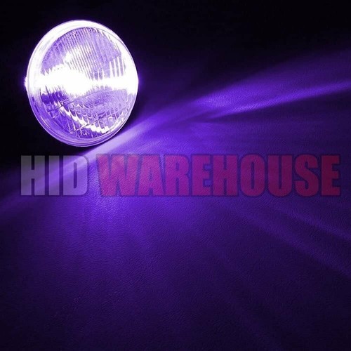 HID-Warehouse HID Xenon Bulbs - H10 / 9140 12000K - Purple (1 Pair) - Picture 3 of 5