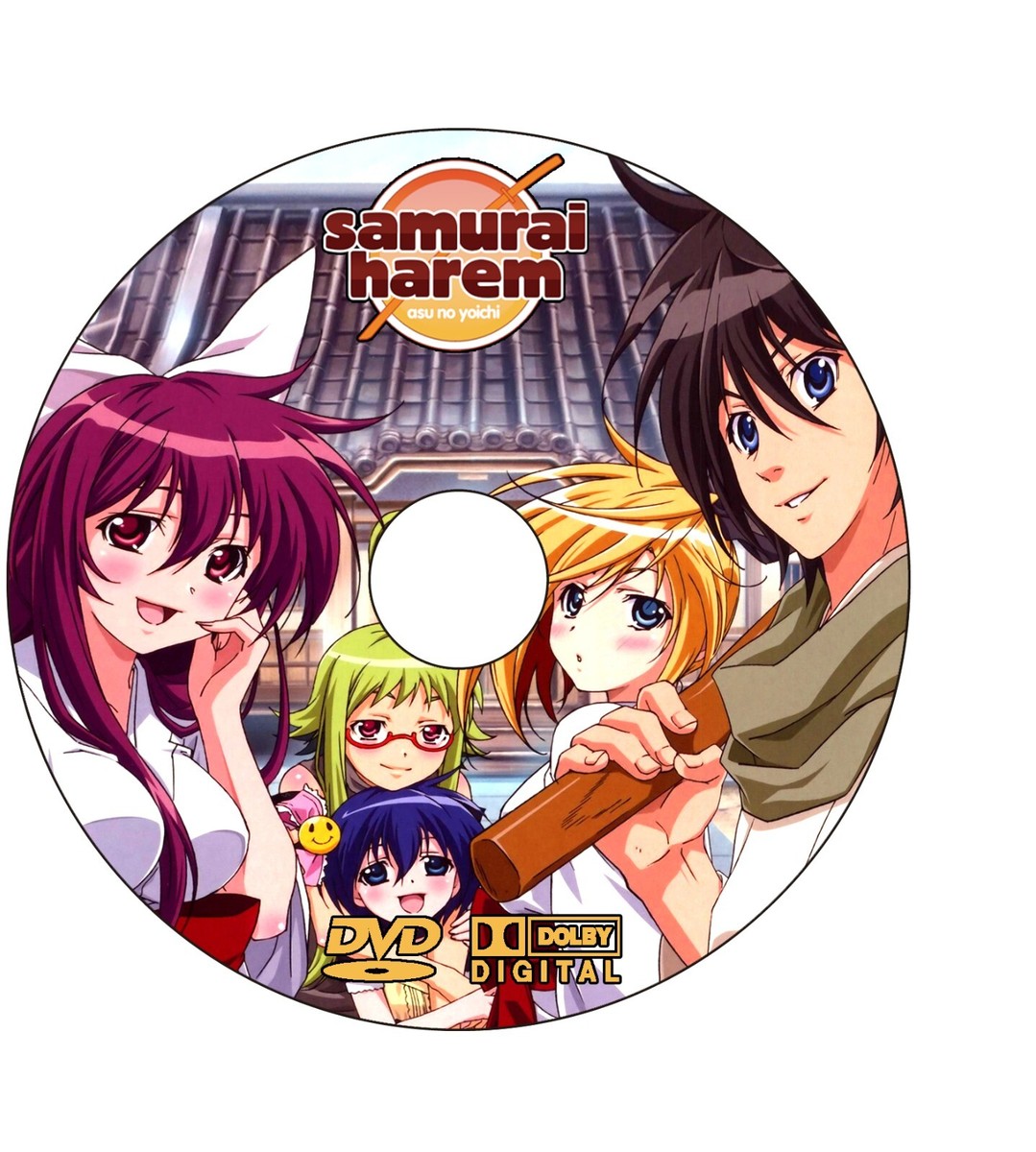 ANIME, SAMURAI HAREM, 1 DVD, 12 EPISODES, ENG/SUBT, 2011 | eBay