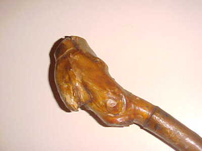 WATER GAP  JULY 2  1907   -   34'' GNARLY Free-Form CANE  WALKING STICK  -  DATED