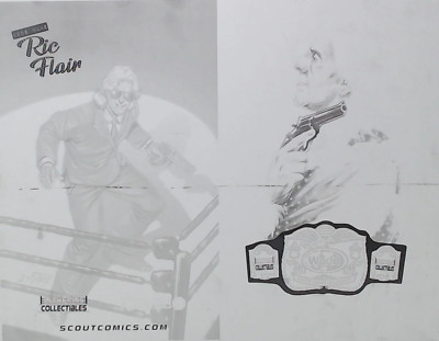 Codename Ric Flair: Magic Eightball #1 - In the Ring - Joe Bocardo Variant - Cov