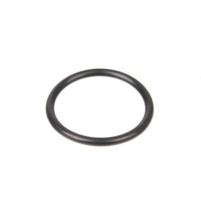 BMW O-Ring 11517788984 M47 M57 N 2 Wasserleitung Dichtring Wasseranschluss