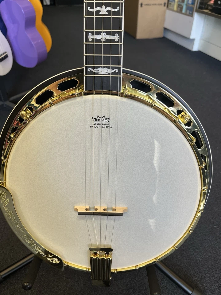 Washburn B17 5-String Banjo with Case - Image 4 of 4